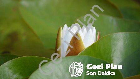 Parapsikolojinin Gizemi: Ölümden Sonra Neler Oluyor?