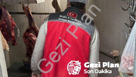 Menteşe’de Halk Sağlığı İçin Sıkı Takip: Kasaplara Kapsamlı Denetim