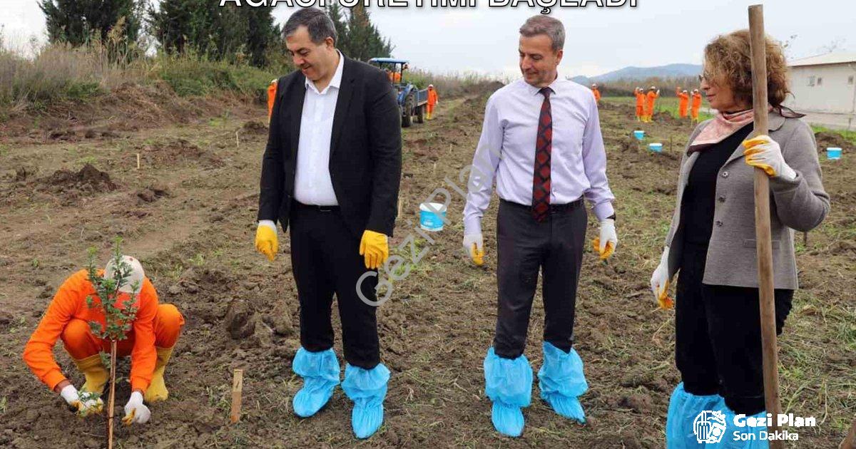 "Dalaman Açık Cezaevi Arazisinde Sakız Ağacı Üretimi Başladı" başlıklı haber için fotorealistik, pro