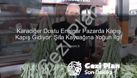 Karaciğer Dostu Enginar Pazarda Göz Kamaştırıyor: Şifa Kaynağına Yoğun İlgi