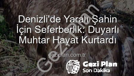 Denizli’de Yaralı Şahin İçin Seferberlik: Duyarlı Muhtar Hayat Kurtardı