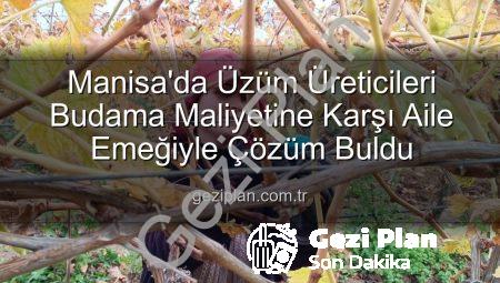 Manisa’da Üzüm Üreticileri Budama Maliyetine Karşı Aile Emeğiyle Çözüm Buldu