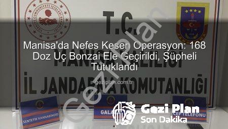 Manisa’da Nefes Kesen Operasyon: 168 Doz Uç Bonzai Ele Geçirildi, Şüpheli Tutuklandı