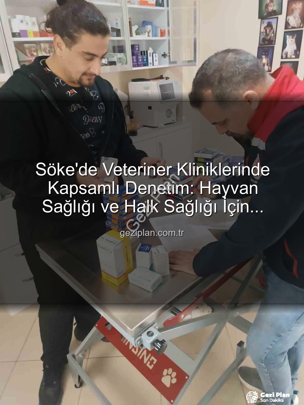 Söke veteriner klinikleri - Söke'de Veteriner Kliniklerinde Kapsamlı Denetim: Hayvan Sağlığı ve Halk Sağlığı İçin Önemli Adımlar
