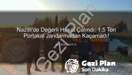 Nazilli’de Değerli Hasat Çalındı: 1.5 Ton Portakal Jandarmadan Kaçamadı!