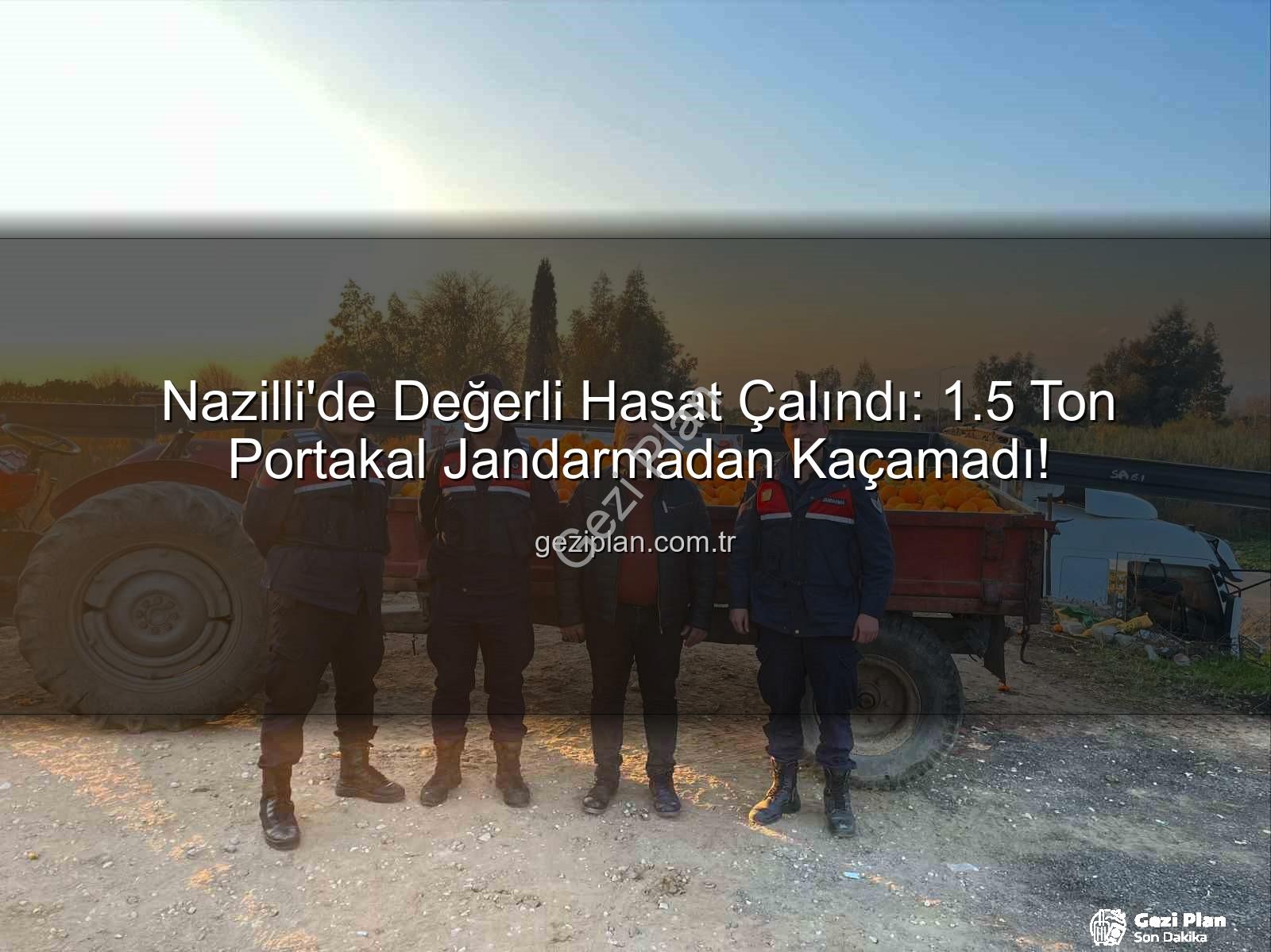 portakal hırsızlığı - Nazilli'de Değerli Hasat Çalındı: 1.5 Ton Portakal Jandarmadan Kaçamadı!