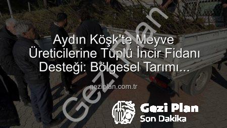 Aydın Köşk’te Meyve Üreticilerine Tüplü İncir Fidanı Desteği: Bölgesel Tarımı Güçlendirme Hamlesi