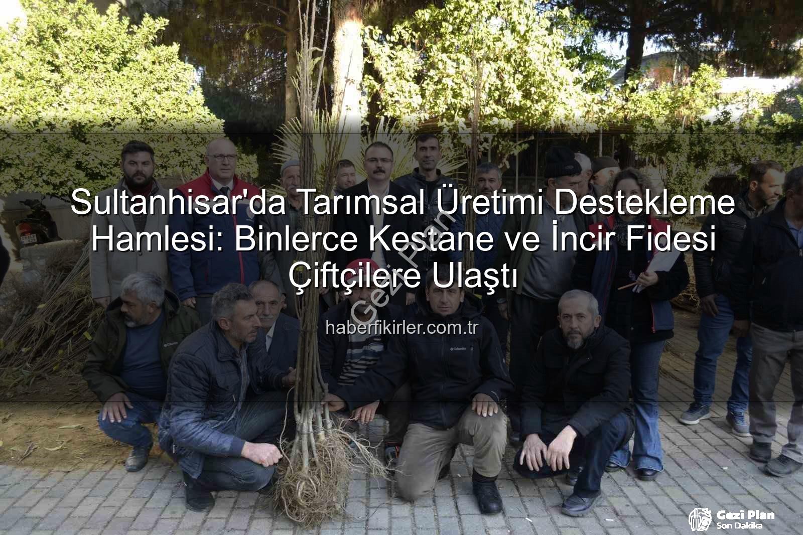 kestane incir fidesi - Sultanhisar'da Tarımsal Üretime Güçlü Destek: Binlerce Kestane ve İncir Fidesi Çiftçilerle Buluştu