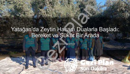 Yatağan’da Zeytin Hasadı Dualarla Başladı: Bereket ve Şükür Bir Arada