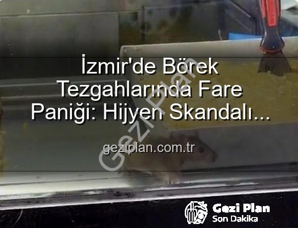 İzmir börekçi fare - İzmir'de Börek Tezgahlarında Fare Paniği: Hijyen Skandalı Mühürlendi!
