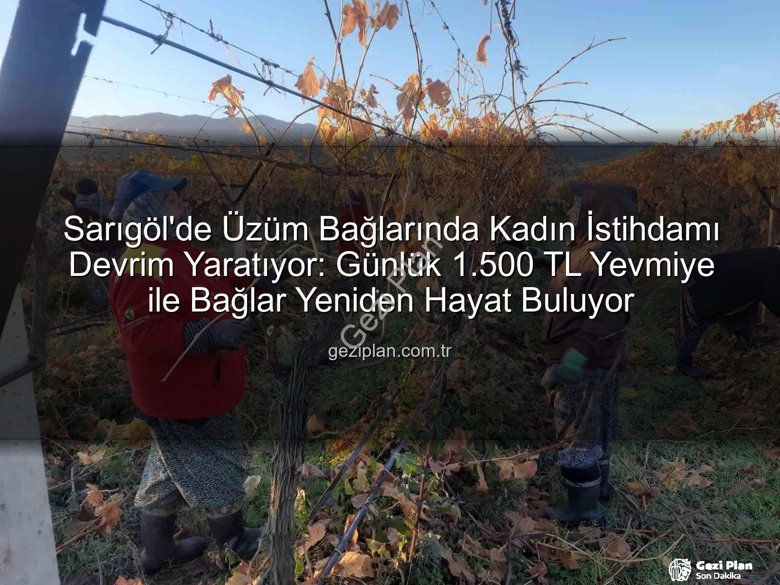 kadın istihdamı - Sarıgöl'de Üzüm Bağlarında Kadın İstihdamı Devrim Yaratıyor: Günlük 1.500 TL Yevmiye ile Bağlar Yeniden Hayat Buluyor