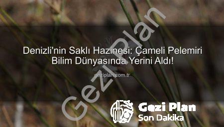 Denizli’nin Saklı Hazinesi: Çameli Pelemiri Bilim Dünyasında Yerini Aldı!