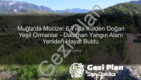 Muğla’da Mucize: 6 Yılda Külden Doğan Yeşil Ormanlar – Dalaman Yangın Alanı Yeniden Hayat Buldu