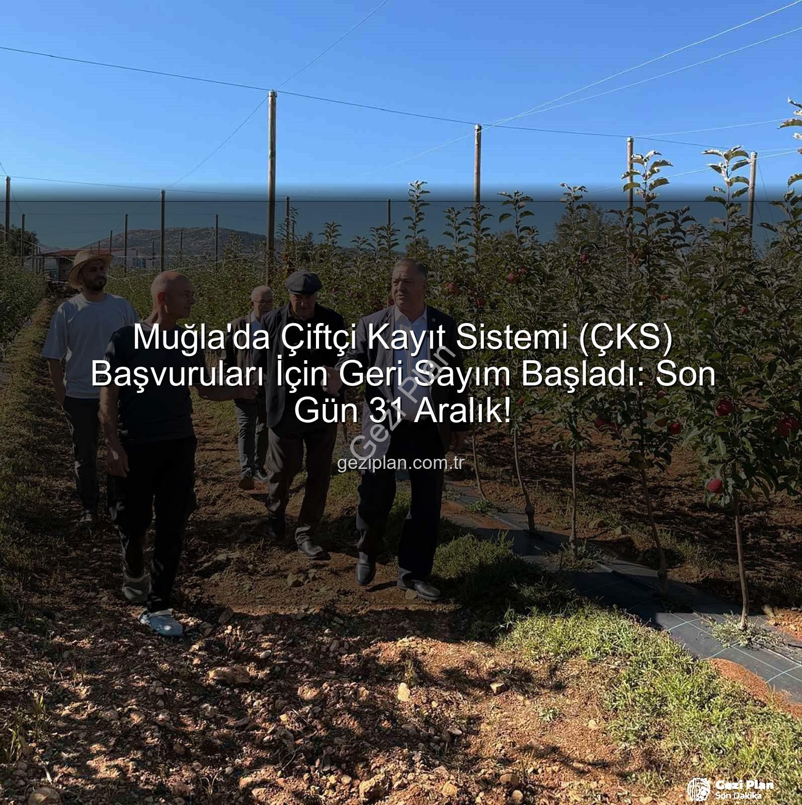 ÇKS başvuruları - Muğla'da Çiftçi Kayıt Sistemi (ÇKS) Başvuruları İçin Geri Sayım Başladı: Son Gün 31 Aralık!